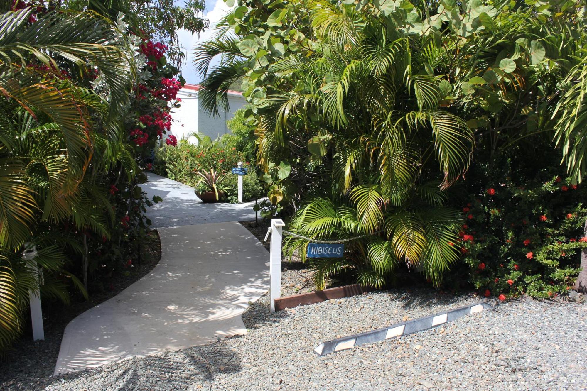 Hibiscus Suite At Sunset Serenade Cruz Bay エクステリア 写真